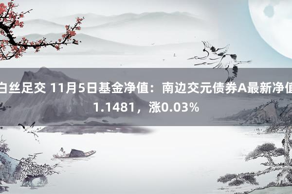 白丝足交 11月5日基金净值：南边交元债券A最新净值1.1481，涨0.03%