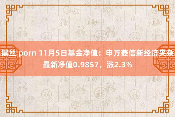 黑丝 porn 11月5日基金净值：申万菱信新经济夹杂最新净值0.9857，涨2.3%