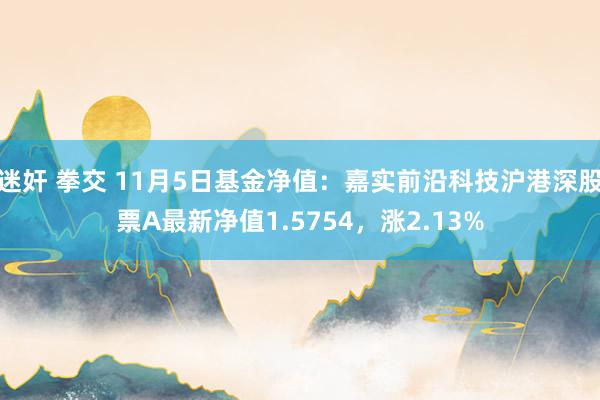 迷奸 拳交 11月5日基金净值：嘉实前沿科技沪港深股票A最新净值1.5754，涨2.13%