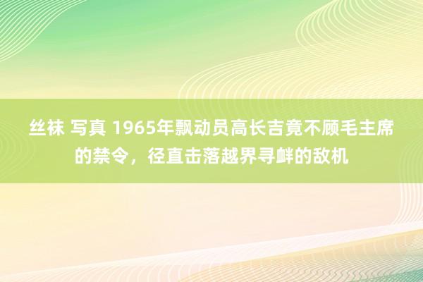 丝袜 写真 1965年飘动员高长吉竟不顾毛主席的禁令，径直击落越界寻衅的敌机