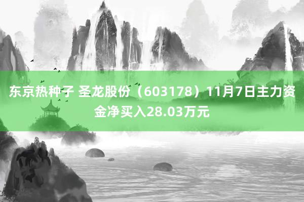 东京热种子 圣龙股份（603178）11月7日主力资金净买入28.03万元