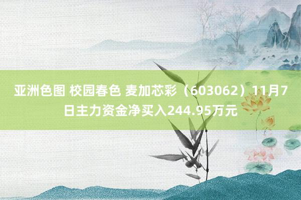 亚洲色图 校园春色 麦加芯彩（603062）11月7日主力资金净买入244.95万元