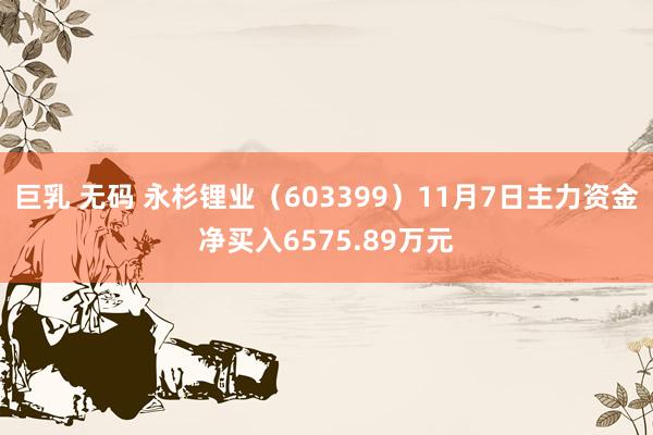 巨乳 无码 永杉锂业（603399）11月7日主力资金净买入6575.89万元