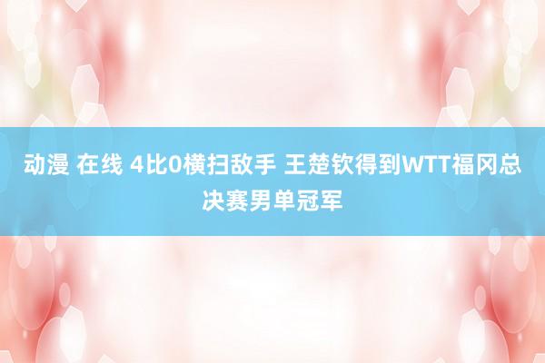 动漫 在线 4比0横扫敌手 王楚钦得到WTT福冈总决赛男单冠军