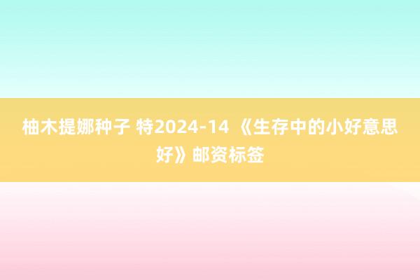 柚木提娜种子 特2024-14 《生存中的小好意思好》邮资标签