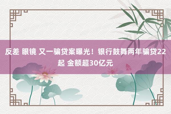 反差 眼镜 又一骗贷案曝光！银行鼓舞两年骗贷22起 金额超30亿元