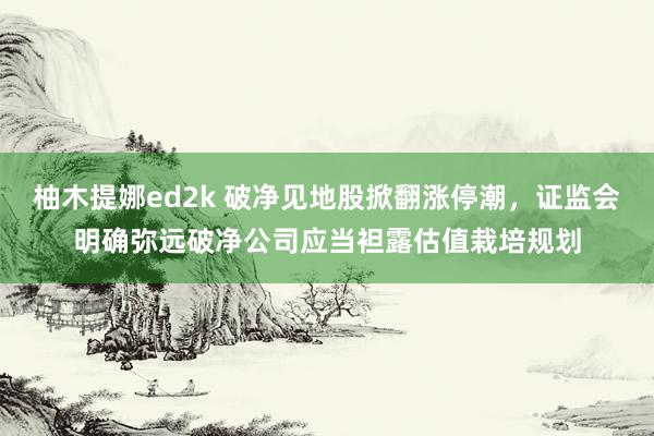 柚木提娜ed2k 破净见地股掀翻涨停潮，证监会明确弥远破净公司应当袒露估值栽培规划