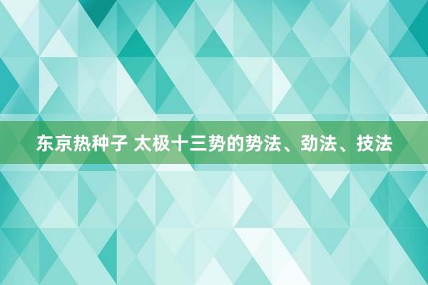 东京热种子 太极十三势的势法、劲法、技法