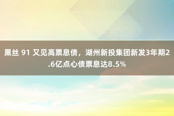 黑丝 91 又见高票息债，湖州新投集团新发3年期2.6亿点心债票息达8.5%