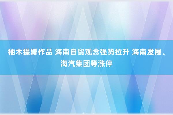 柚木提娜作品 海南自贸观念强势拉升 海南发展、海汽集团等涨停