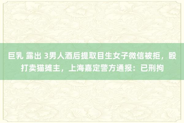 巨乳 露出 3男人酒后提取目生女子微信被拒，殴打卖猫摊主，上海嘉定警方通报：已刑拘