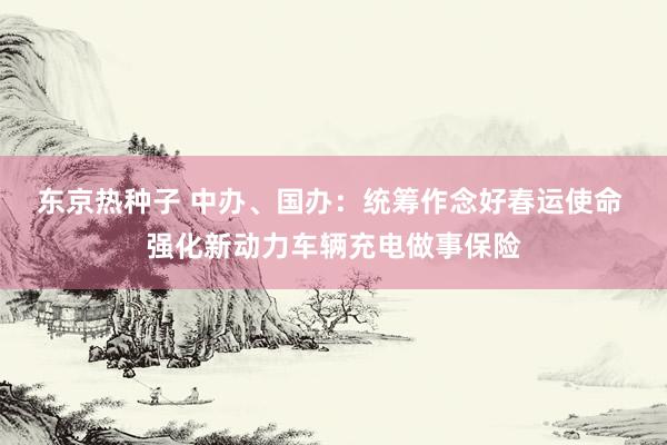 东京热种子 中办、国办：统筹作念好春运使命 强化新动力车辆充电做事保险