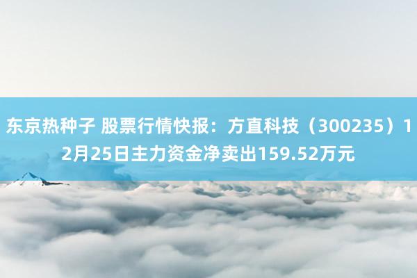 东京热种子 股票行情快报：方直科技（300235）12月25日主力资金净卖出159.52万元