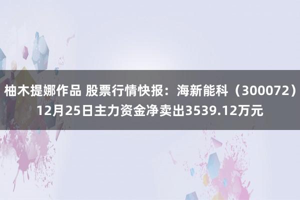 柚木提娜作品 股票行情快报：海新能科（300072）12月25日主力资金净卖出3539.12万元