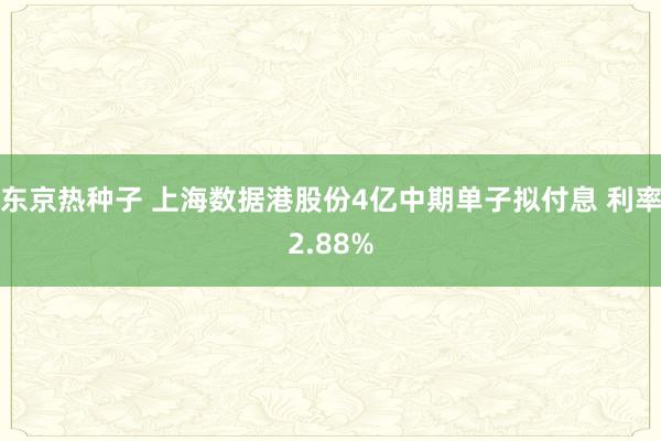 东京热种子 上海数据港股份4亿中期单子拟付息 利率2.88%