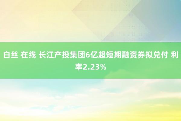 白丝 在线 长江产投集团6亿超短期融资券拟兑付 利率2.23%