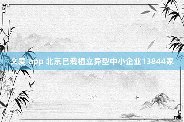 文爱 app 北京已栽植立异型中小企业13844家