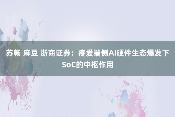 苏畅 麻豆 浙商证券：疼爱端侧AI硬件生态爆发下SoC的中枢作用