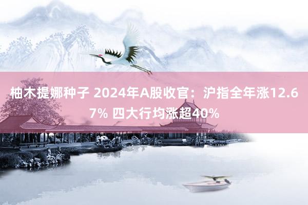 柚木提娜种子 2024年A股收官：沪指全年涨12.67% 四大行均涨超40%