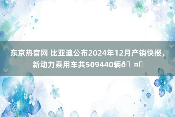 东京热官网 比亚迪公布2024年12月产销快报，新动力乘用车共509440辆🤔