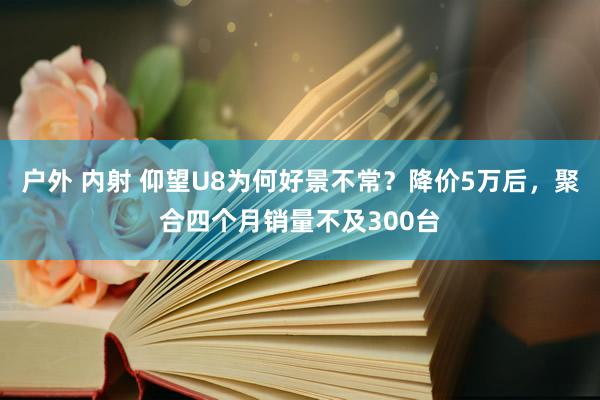 户外 内射 仰望U8为何好景不常？降价5万后，聚合四个月销量不及300台