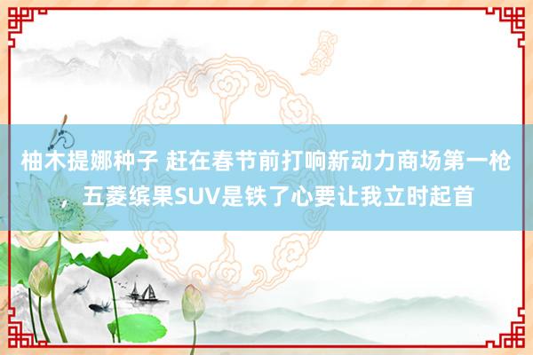 柚木提娜种子 赶在春节前打响新动力商场第一枪，五菱缤果SUV是铁了心要让我立时起首