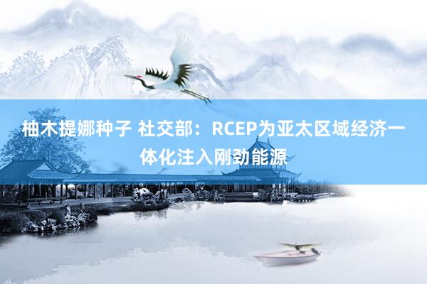 柚木提娜种子 社交部：RCEP为亚太区域经济一体化注入刚劲能源