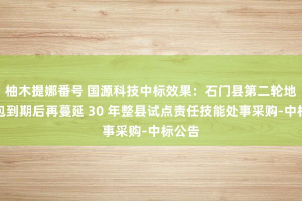 柚木提娜番号 国源科技中标效果：石门县第二轮地皮承包到期后再蔓延 30 年整县试点责任技能处事采购-中标公告