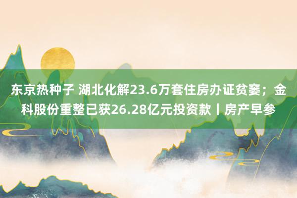 东京热种子 湖北化解23.6万套住房办证贫窭；金科股份重整已获26.28亿元投资款丨房产早参