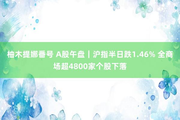 柚木提娜番号 A股午盘｜沪指半日跌1.46% 全商场超4800家个股下落