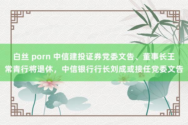 白丝 porn 中信建投证券党委文告、董事长王常青行将退休，中信银行行长刘成或接任党委文告