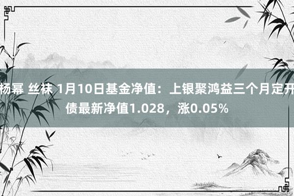 杨幂 丝袜 1月10日基金净值：上银聚鸿益三个月定开债最新净值1.028，涨0.05%