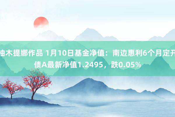 柚木提娜作品 1月10日基金净值：南边惠利6个月定开债A最新净值1.2495，跌0.05%