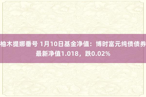 柚木提娜番号 1月10日基金净值：博时富元纯债债券最新净值1.018，跌0.02%