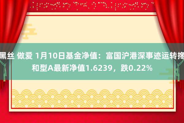 黑丝 做爱 1月10日基金净值：富国沪港深事迹运转搀和型A最新净值1.6239，跌0.22%