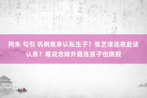 阿朱 勾引 巩俐竟承认私生子？张艺谋连夜赴法认亲？难说念嫁外籍连孩子也烧毁