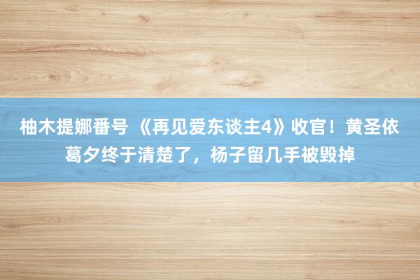 柚木提娜番号 《再见爱东谈主4》收官！黄圣依葛夕终于清楚了，杨子留几手被毁掉