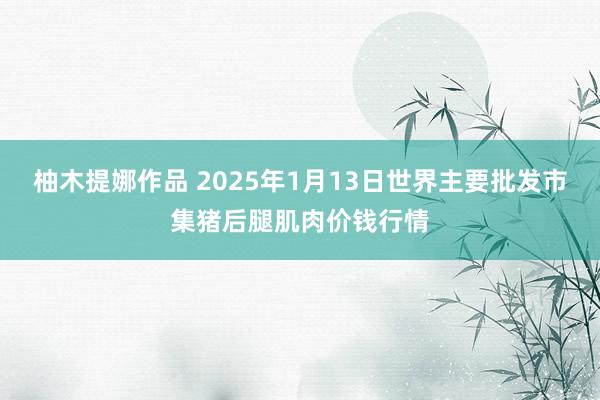 柚木提娜作品 2025年1月13日世界主要批发市集猪后腿肌肉价钱行情