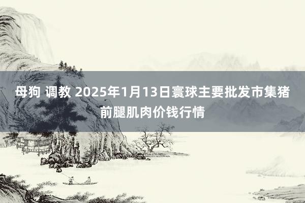 母狗 调教 2025年1月13日寰球主要批发市集猪前腿肌肉价钱行情