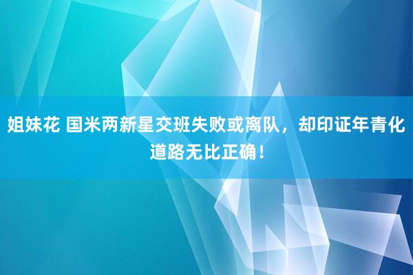 姐妹花 国米两新星交班失败或离队，却印证年青化道路无比正确！