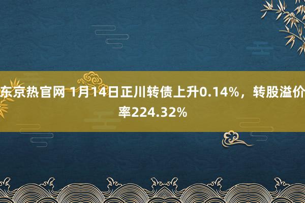 东京热官网 1月14日正川转债上升0.14%，转股溢价率224.32%