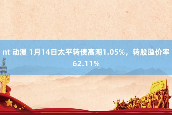 nt 动漫 1月14日太平转债高潮1.05%，转股溢价率62.11%