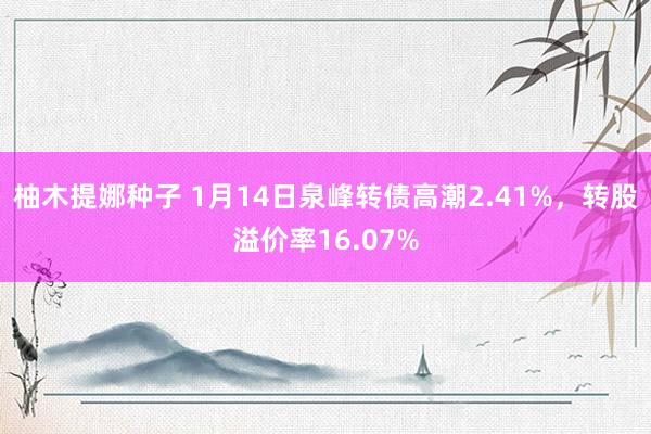 柚木提娜种子 1月14日泉峰转债高潮2.41%，转股溢价率16.07%