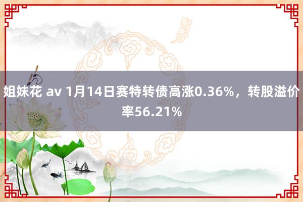 姐妹花 av 1月14日赛特转债高涨0.36%，转股溢价率56.21%