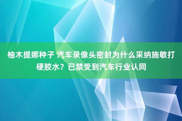 柚木提娜种子 汽车录像头密封为什么采纳施敏打硬胶水？已禁受到汽车行业认同