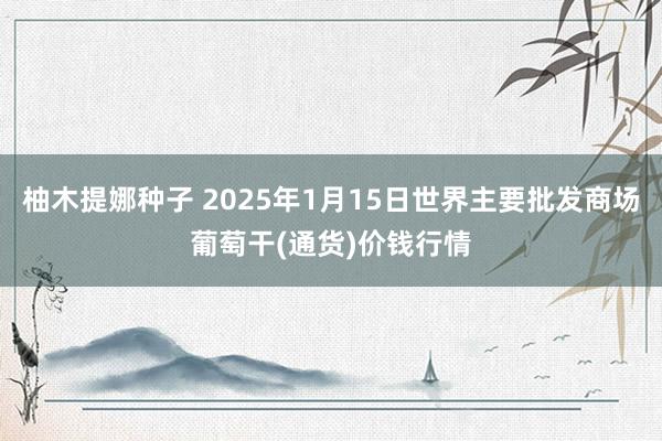 柚木提娜种子 2025年1月15日世界主要批发商场葡萄干(通货)价钱行情